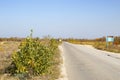 Sunlit, empty highway in the countryside Royalty Free Stock Photo